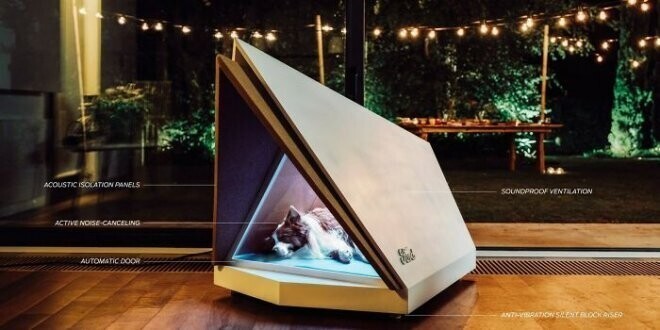 Собачья будка со звукоизоляцией, которая поможет успокоиться во время фейерверков и грозы