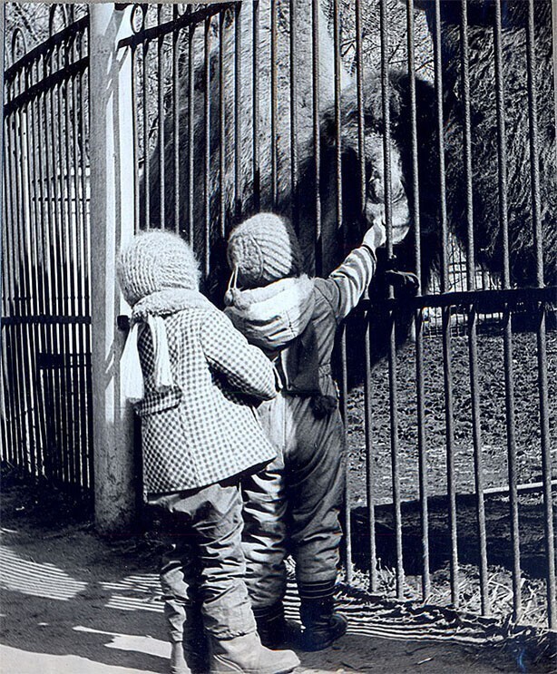 Нарушители. 1978 год, Москва, Зоопарк