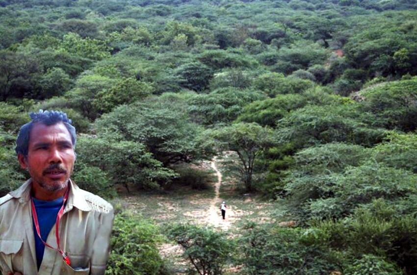Удивительный человек Джадав Пайенг, который в одиночку вырастил огромный лес