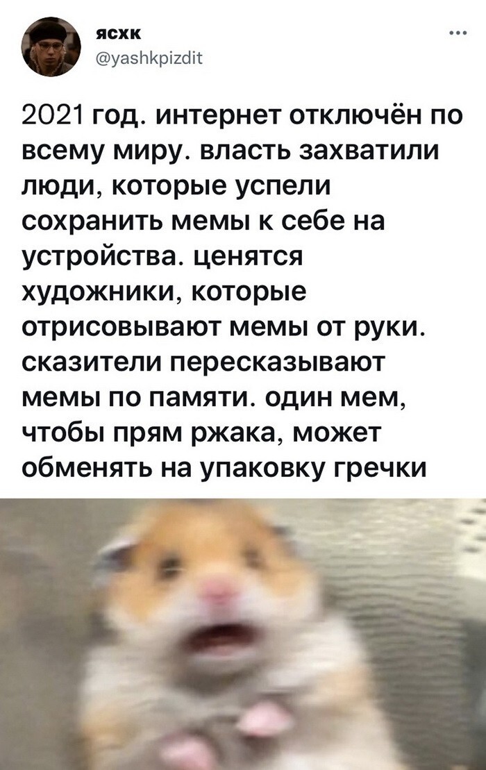 Скрины из соцсетей