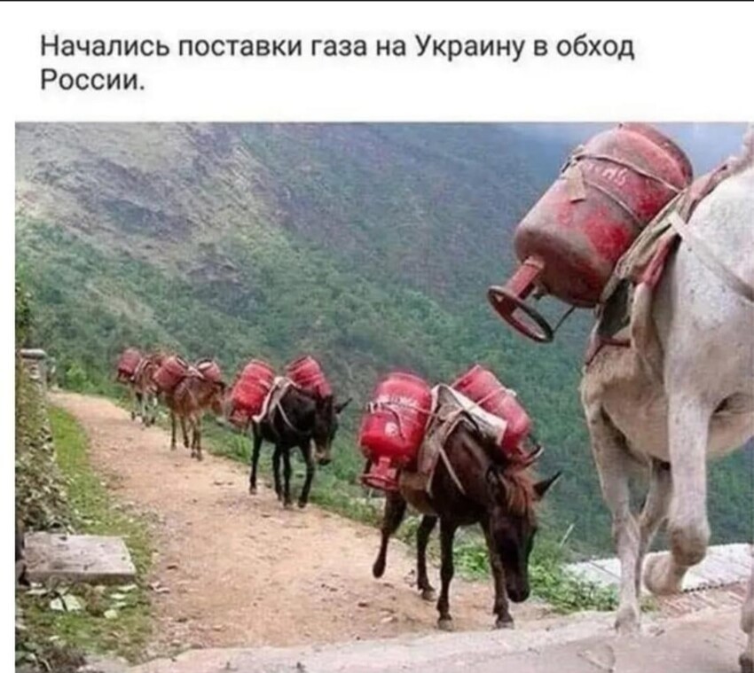 Тем временем......