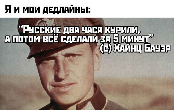 Смешные и познавательные картинки