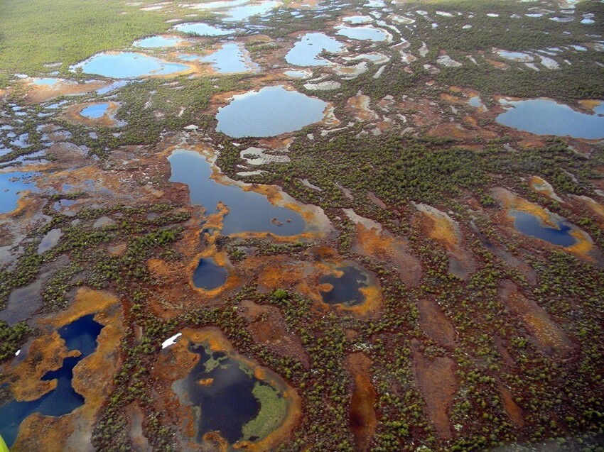 Здесь находится самое гигантское болото на планете
