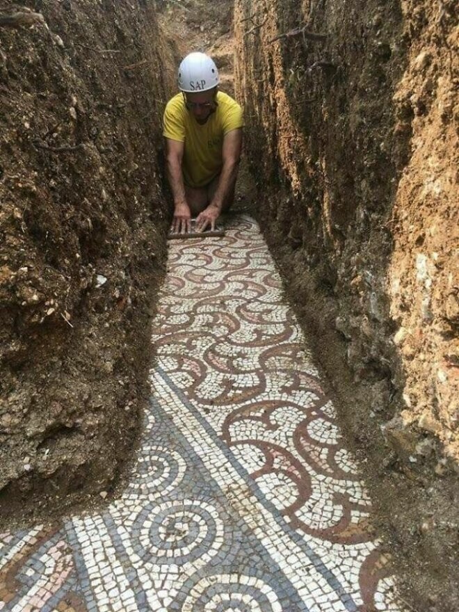 Мозаика недавно обнаружена под виноградником в Италии, в провинции Верона, недалеко от города Неграр