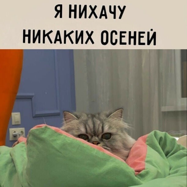 Пост позитивной милоты