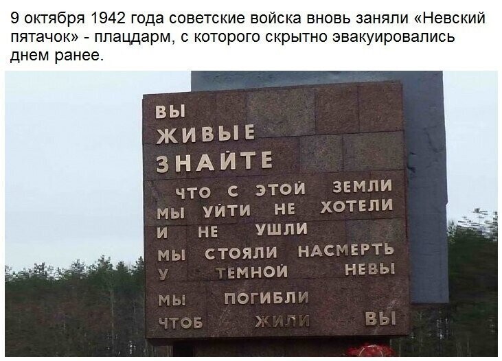 Вечерняя субботняя политота