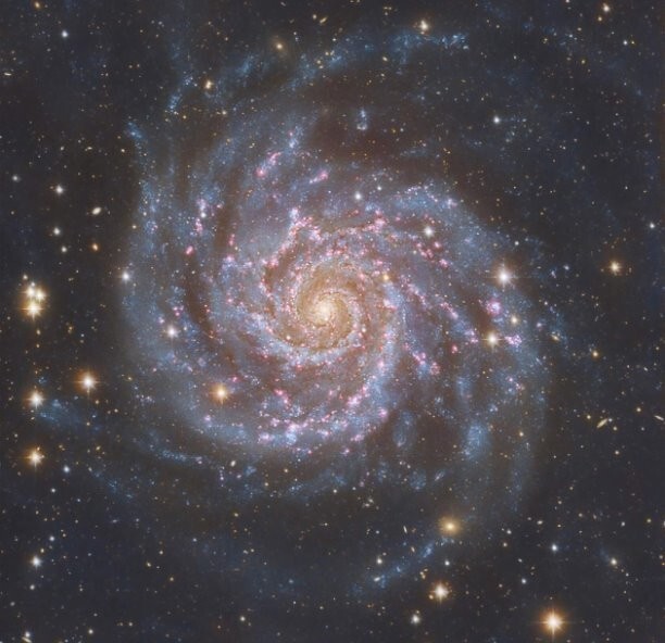 Галактика M74.
Галактика повёрнута к нам «лицом», что позволяет астрономам лучше изучить спиральную структуру рукавов.