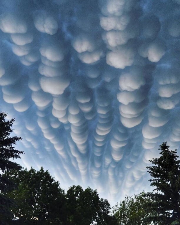 Классный снимок Мамматусов(вымеобразные облака).