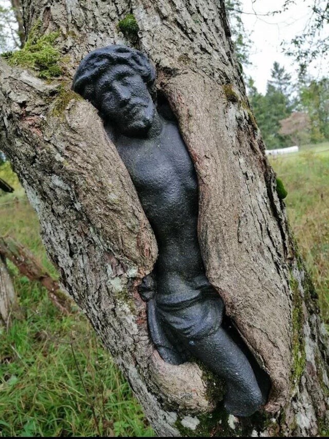 Дерево захватило статую на кладбище, Польша
