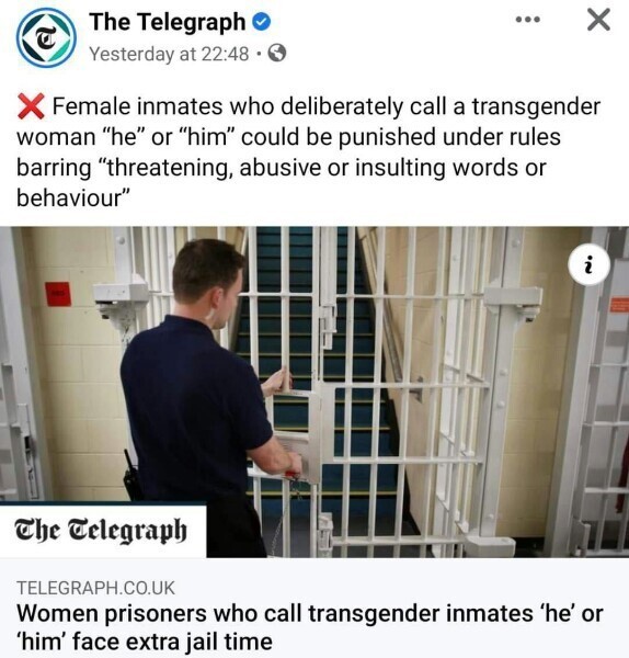 Женщинам-заключенным в Великобритании теперь может светить дополнительный срок за обращение к сокамерницам-трансгендерам «он» или «она»