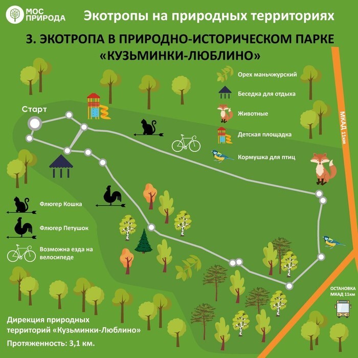 7 экомаршрутов по Москве: где лучше всего гулять осенью