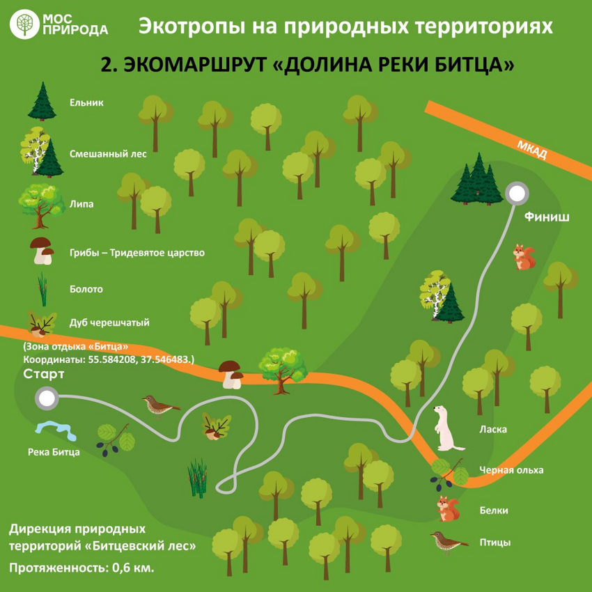 7 экомаршрутов по Москве: где лучше всего гулять осенью