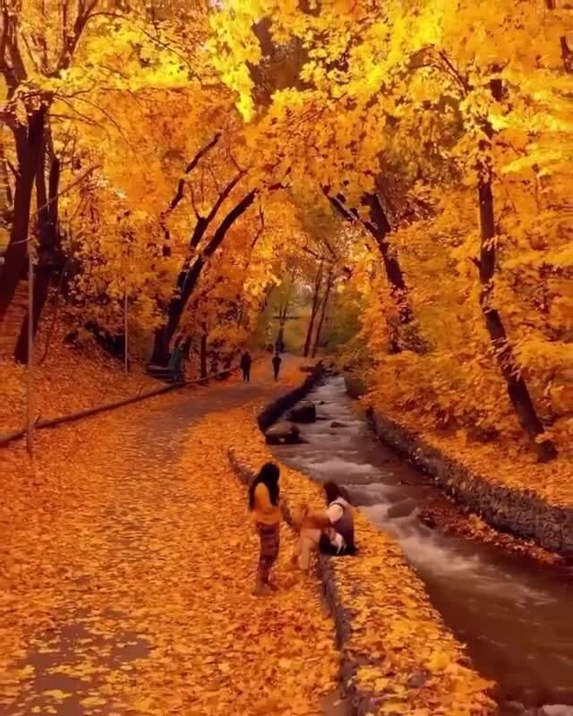Осенние краски 