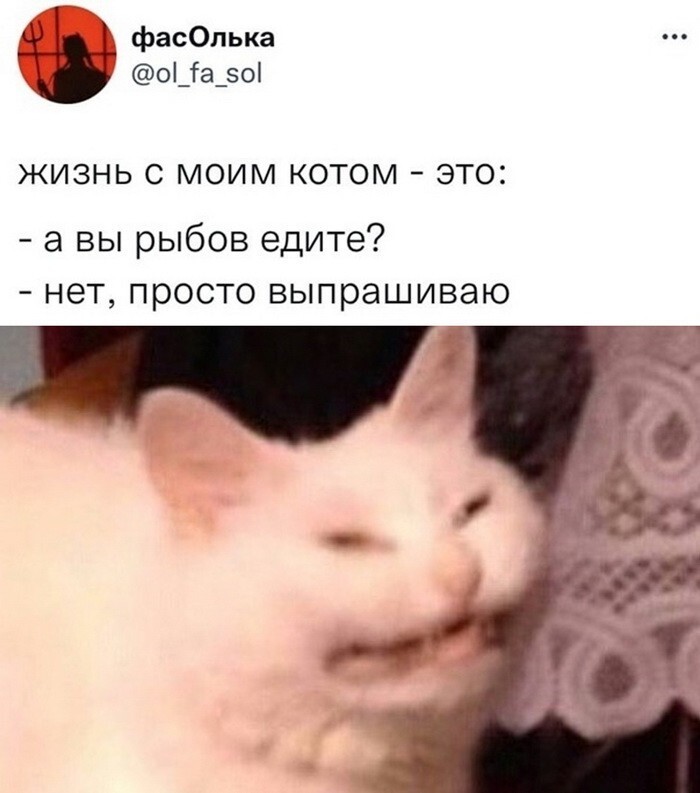 Скрины из соцсетей 