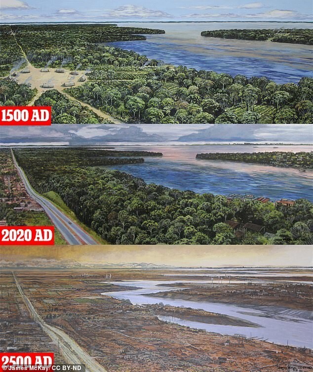 Бесплодная Амазония и раскаленная Индия: ученые предсказали, как изменится климат к 2500 году