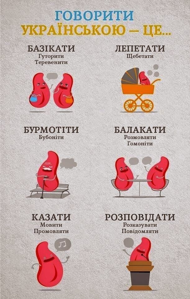 Языковой конфликт: украинские журналисты оконфузились, пытаясь взять интервью у политолога из Грузии