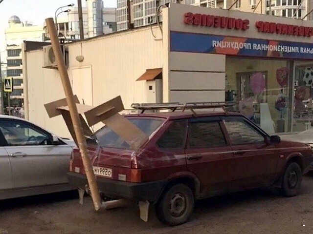 Автовсячина