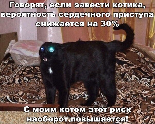 На ночь глядючи