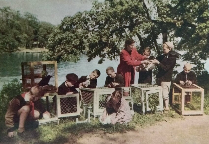 Почему советские школьники были такими занятыми: рассматриваю старые фото и вспоминаю свое детство