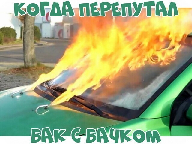 Автовсячина