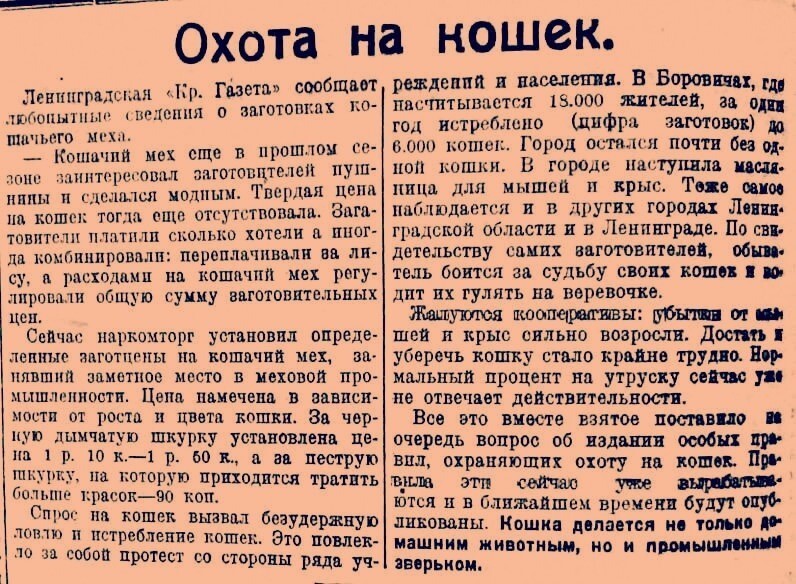 Заготовка кошек