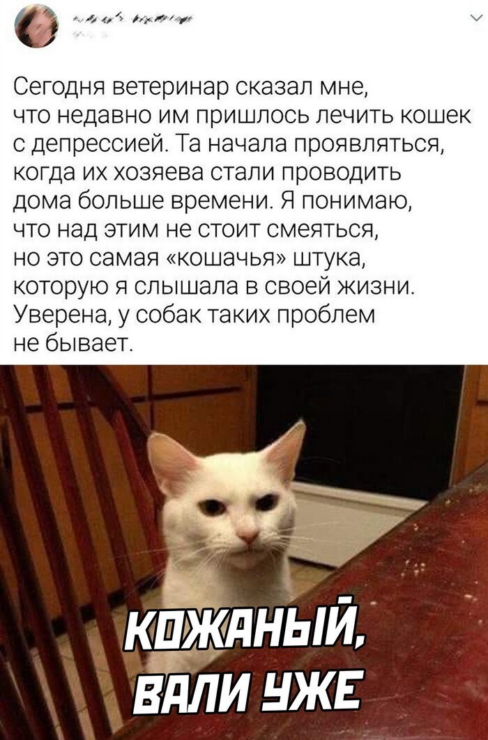 Скрины из соцсетей