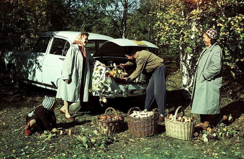 Москвичи выехали по грибы. 1950-е