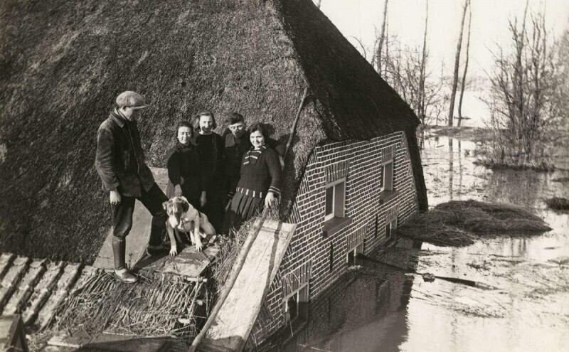 Голландская семья спасается на своей крыше во время большого наводнения в Северном море в 1953 году