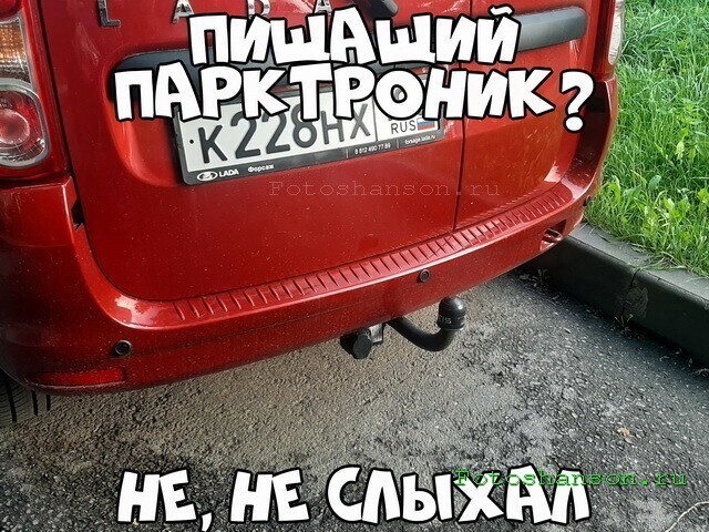 Автовсячина