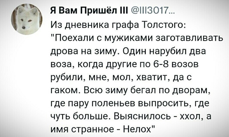 И кого-же меня так напомнило)... песца жующего поп корн не хватает.