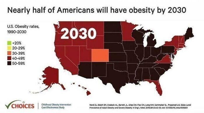 33. Уровень ожирения в США, 1990-2030