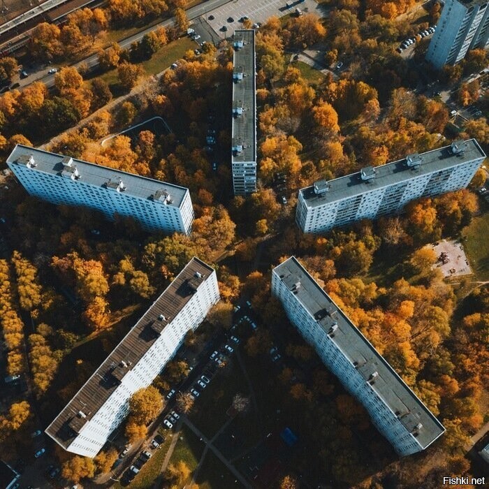 Волшебное Бирюлёво (Москва)