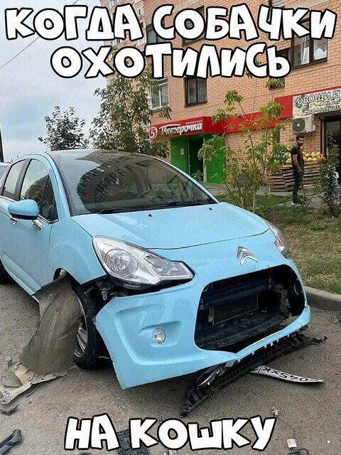 Автовсячина