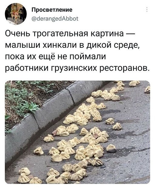 Смешные и познавательные картинки