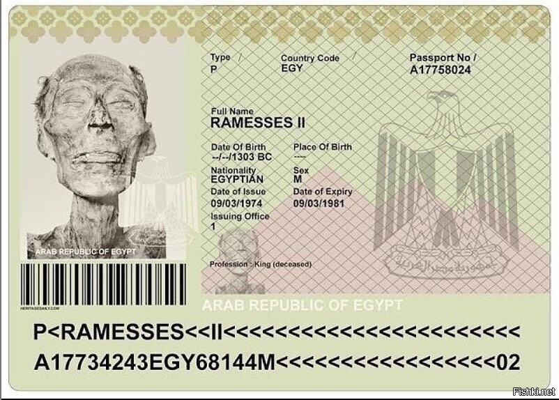 В 1974 году мумия Рамсеса II была перевезена в специальные лаборатории Франци...