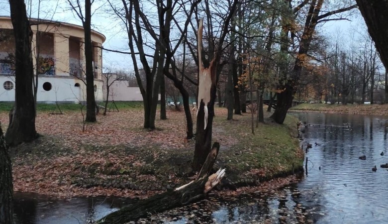 Петербург еще во власти осеннего шторма, а ему уже обещают зимние осадки