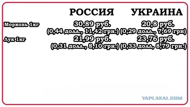 Почему они тупые?