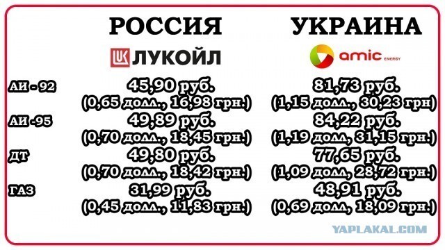 Почему они тупые?