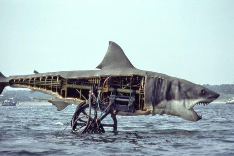 Модель акулы Брюса из фильма «Челюсти», вид сбоку