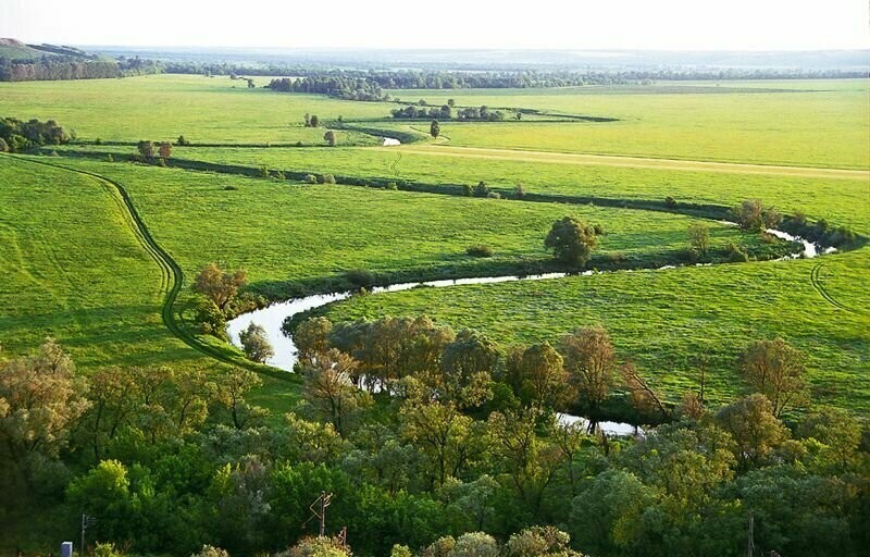 Дорогущая белуга в маленькой речке