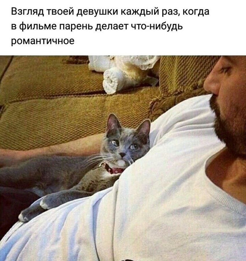 На позитиве