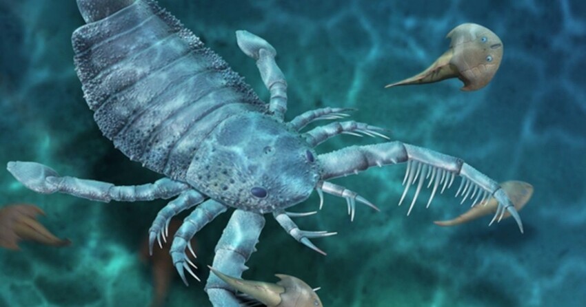 В Южно-Китайском море обнаружили морского скорпиона размером с собаку