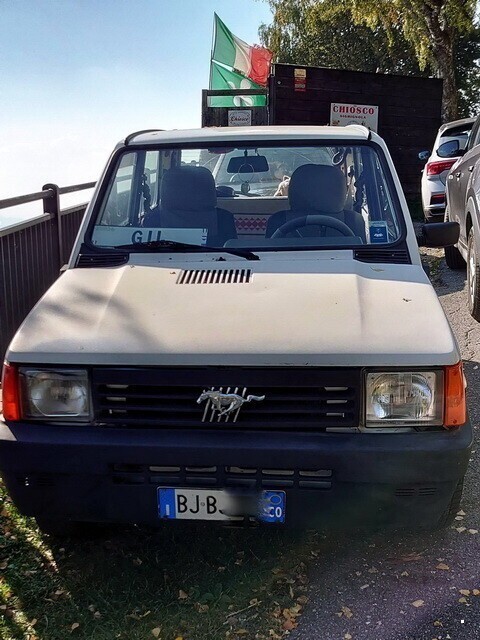 Автовсячина