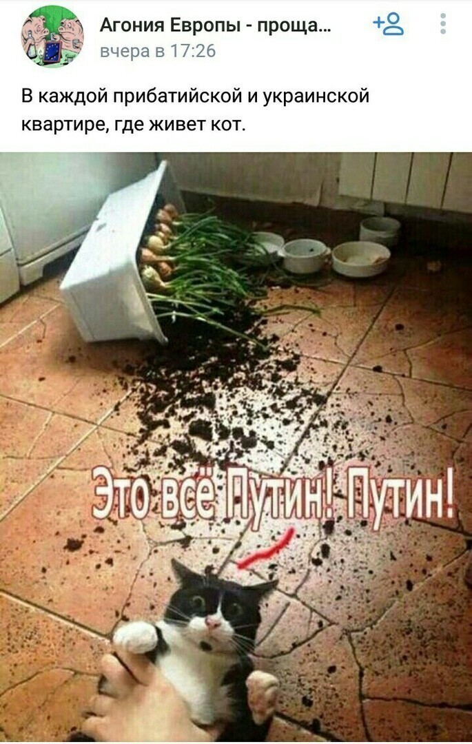 О политике и не только