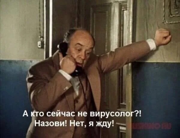 О политике и не только