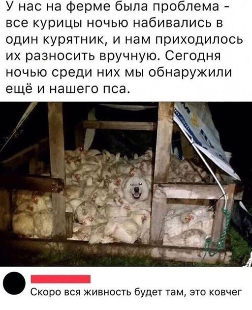 Смешные и познавательные картинки