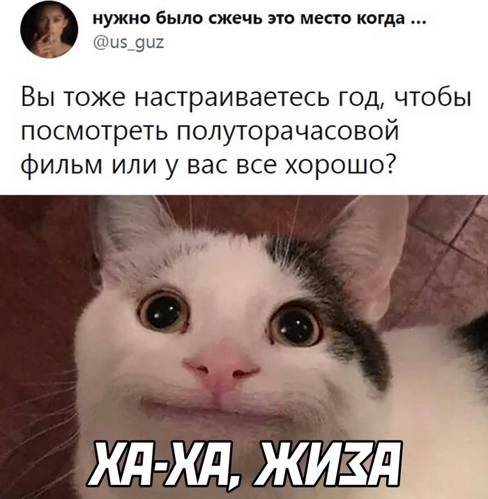 Скрины из соцсетей