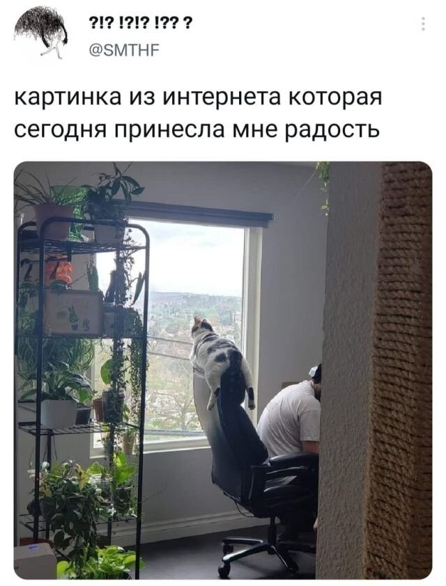 Скрины из соцсетей