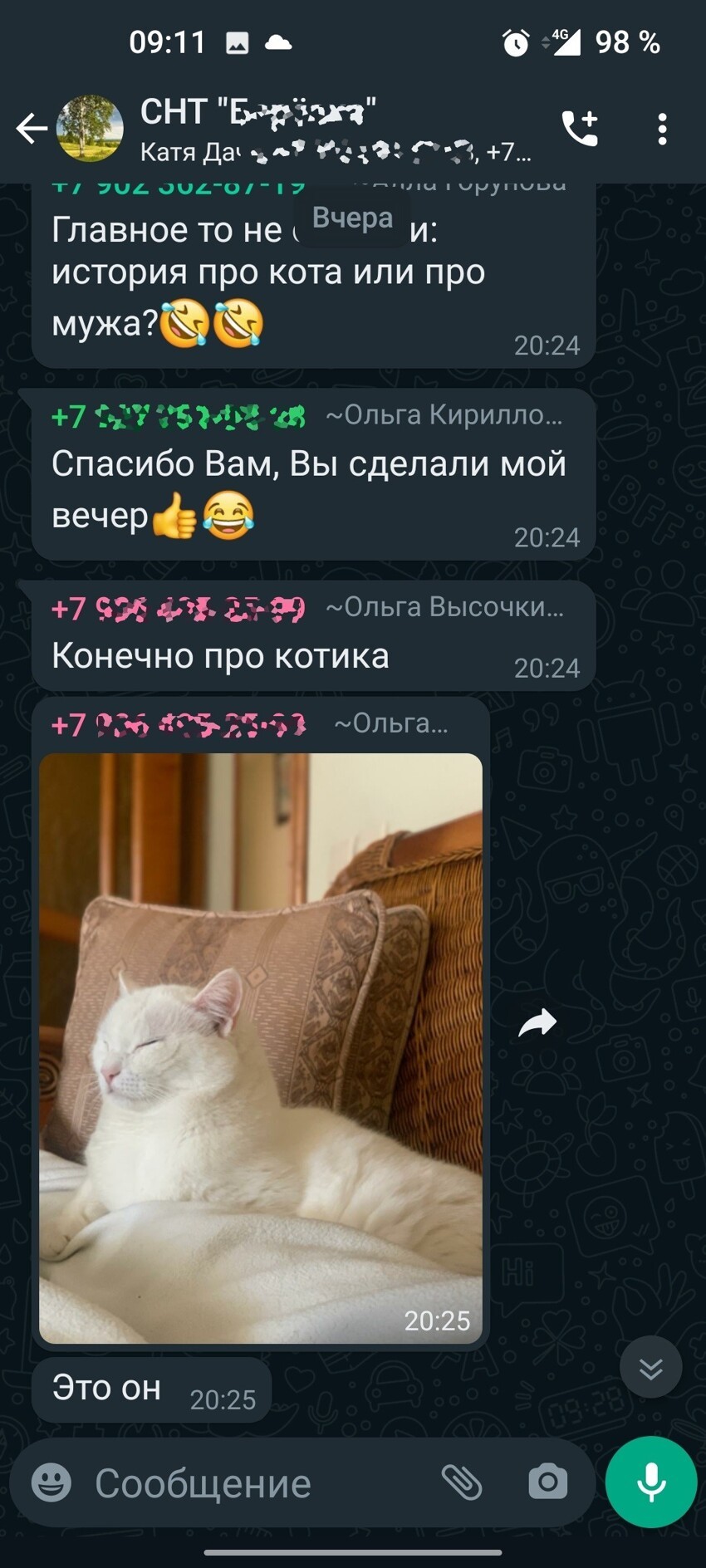 У-дачный вечерний чат