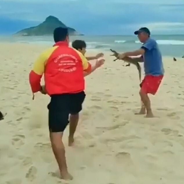 Все средства хороши: мужчина отбивался аллигатором в драке на пляже
